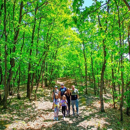 Amigosranch Villa Krusevac Bagian luar foto
