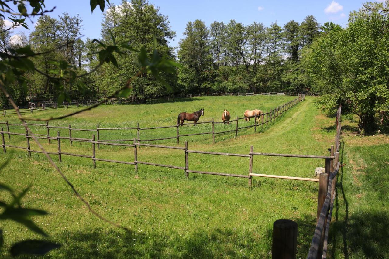 Amigosranch Villa Krusevac Bagian luar foto