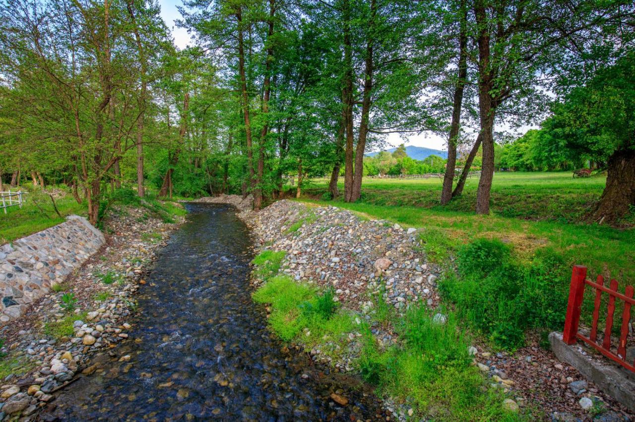 Amigosranch Villa Krusevac Bagian luar foto
