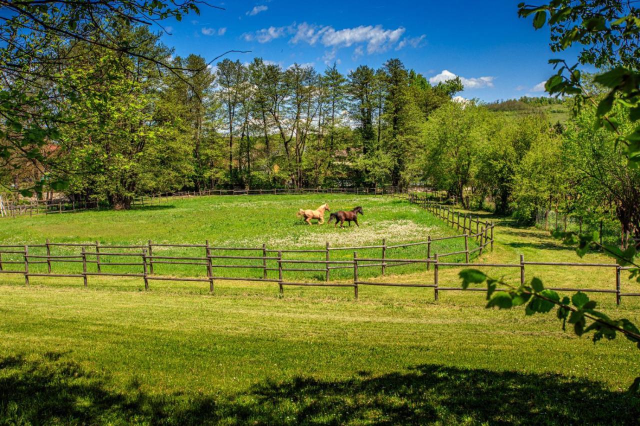 Amigosranch Villa Krusevac Bagian luar foto